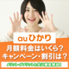 auひかりの評判は悪い？キャンペーン情報やメリット・デメリットなど詳しく解説