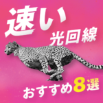 【2023年11月】速い光回線おすすめ８選！最新速度ランキングも紹介
