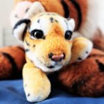 ドコモ光のプロバイダ「タイガースネット」の評判は？