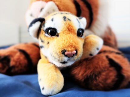 ドコモ光のプロバイダ「タイガースネット」の評判は？