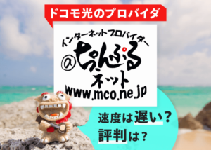 ドコモ光のプロバイダ「＠ちゃんぷるネット」は遅い？評判は？